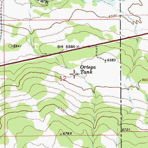 Topographic Map of Ortega Tank, AZ