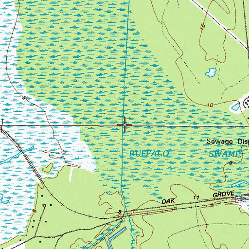 Topographic Map of Buffalo Swamp, GA