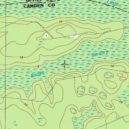 Topographic Map of Bailey Swamp, GA