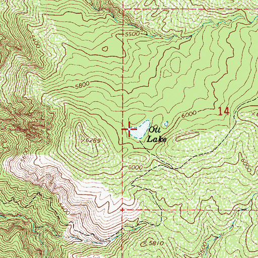 Topographic Map of Ott Lake, AZ