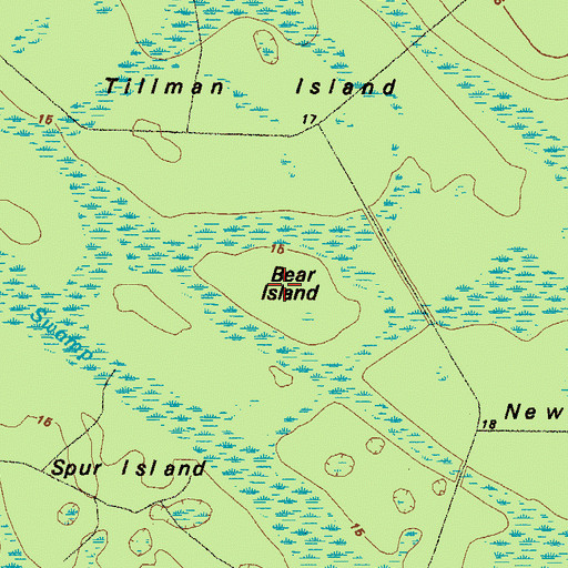 Topographic Map of Bear Island, GA