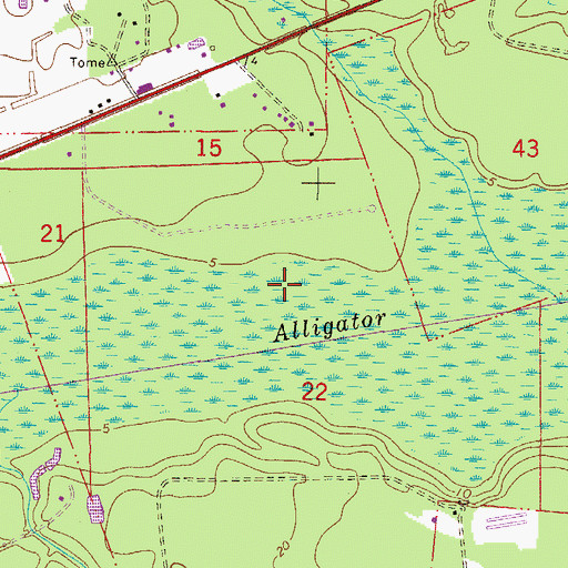 Topographic Map of John H McIntosh Sugar Mill Site, GA