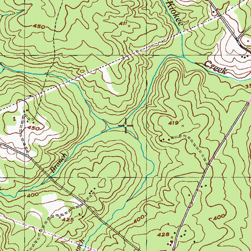 Topographic Map of Dry Branch, GA