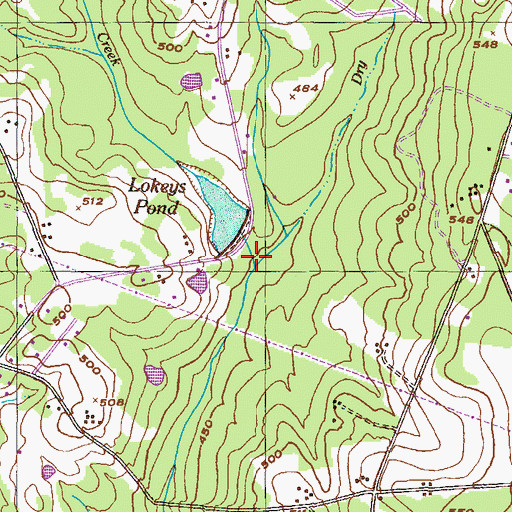 Topographic Map of Dry Branch, GA