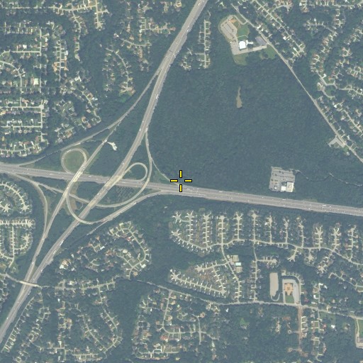 Aerial/Satellite Image of Fowler Branch, GA