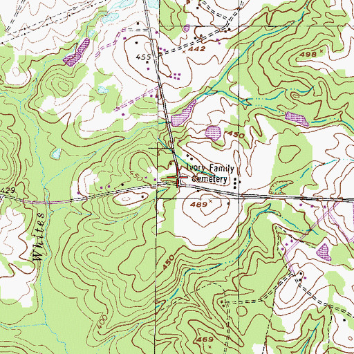 Topographic Map of Ivory Family Cemetery, GA