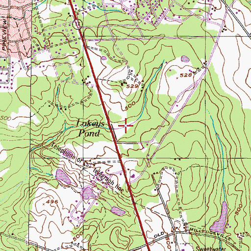 Topographic Map of Lokeys Pond, GA