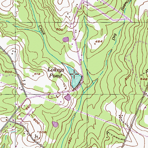 Topographic Map of Lokeys Pond, GA