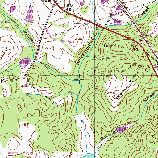 Topographic Map of Mangy Branch, GA