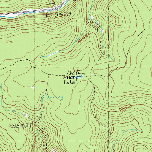 Topographic Map of P Bar Lake, AZ