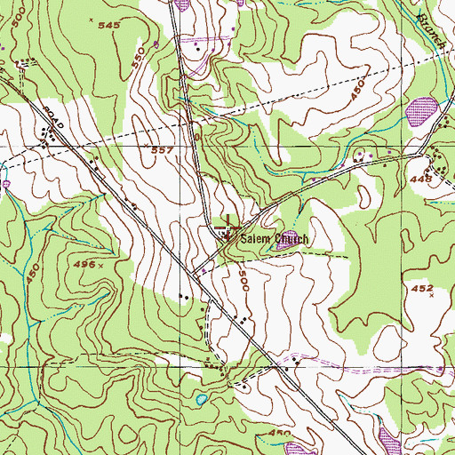 Topographic Map of Salem Church, GA