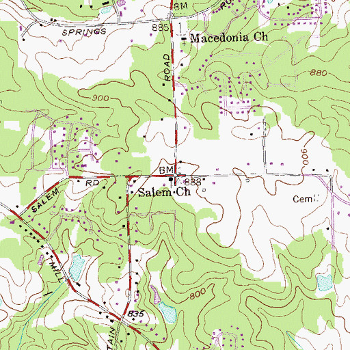 Topographic Map of Salem Church, GA