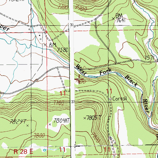 Topographic Map of P S Knoll Forest Camp, AZ