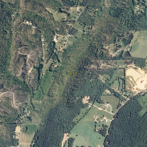 Aerial/Satellite Image of Conley Bluff, GA