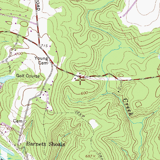 Topographic Map of Rutherford (historical), GA