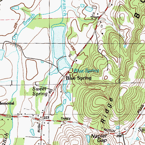 Topographic Map of Blue Spring, GA