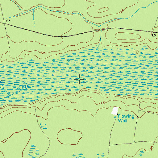 Topographic Map of White Oak Swamp, GA
