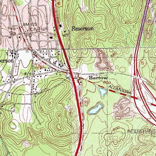 Topographic Map of Bartow, GA