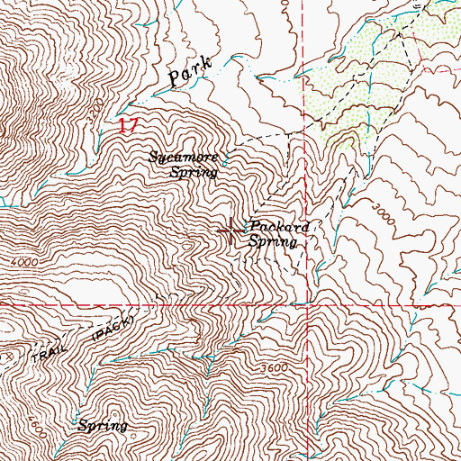 Topographic Map of Packard Spring, AZ