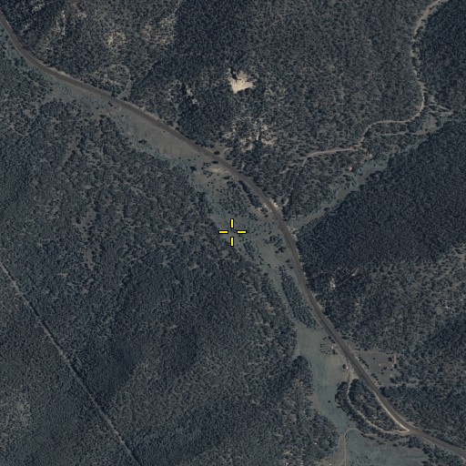 Aerial/Satellite Image of Paddy Creek, AZ