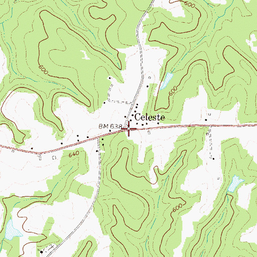 Topographic Map of Celeste, GA