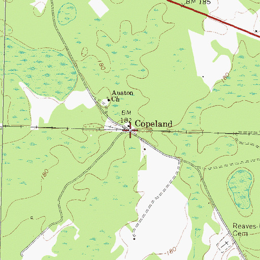 Topographic Map of Copeland, GA