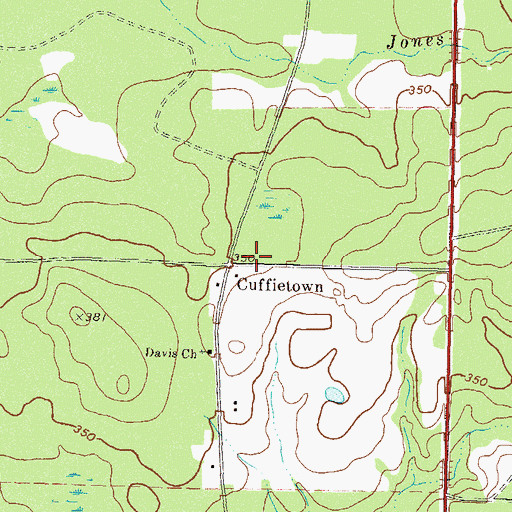 Topographic Map of Cuffietown, GA