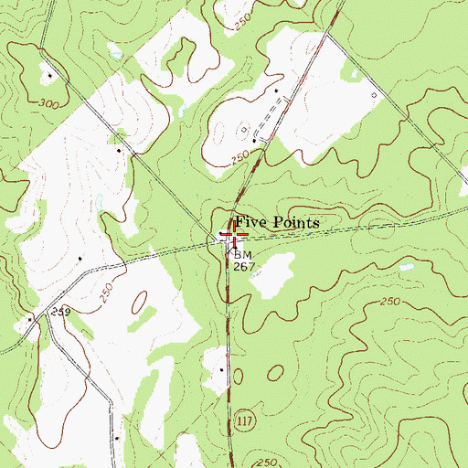 Topographic Map of Five Points, GA
