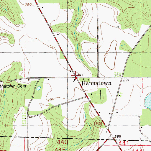 Topographic Map of Hannatown, GA