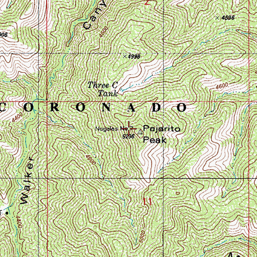 Topographic Map of Pajarito Peak, AZ