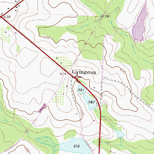 Topographic Map of Livingston, GA
