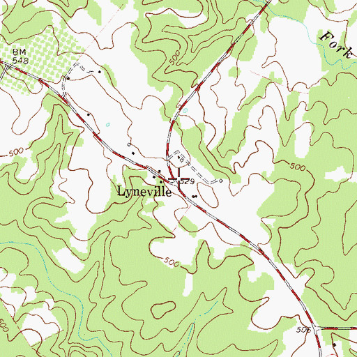 Topographic Map of Lyneville, GA