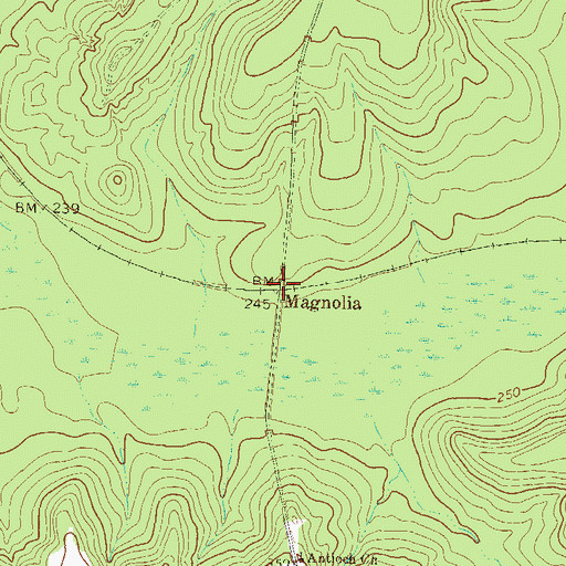 Topographic Map of Magnolia, GA