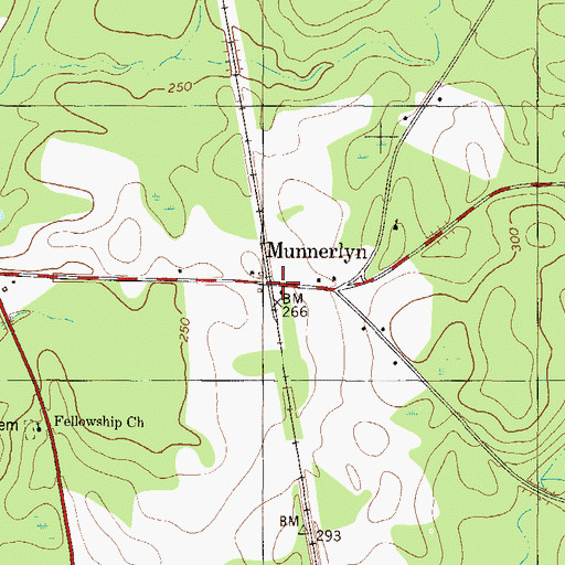 Topographic Map of Munnerlyn, GA