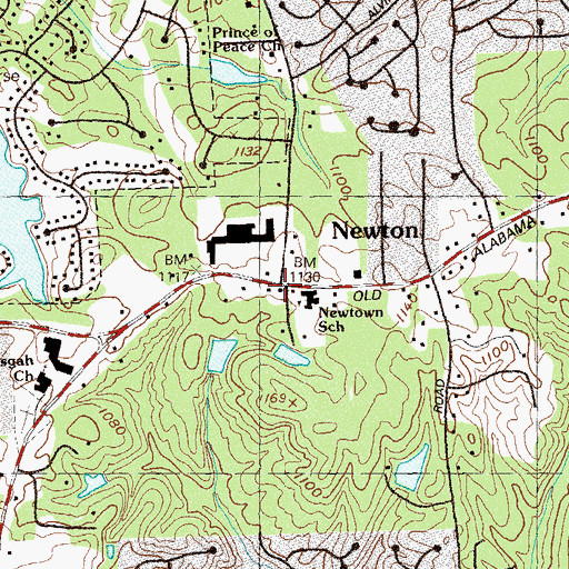Topographic Map of Newtown, GA