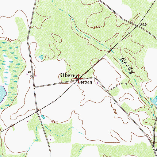 Topographic Map of Oberry, GA