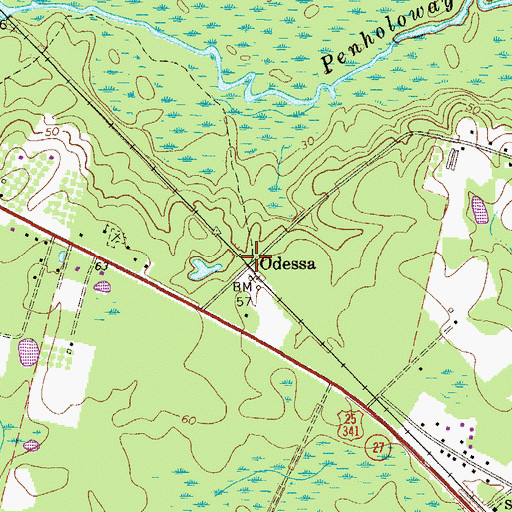 Topographic Map of Odessa, GA