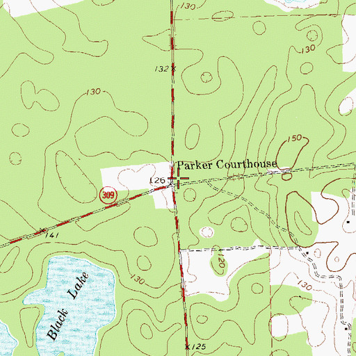Topographic Map of Parker Courthouse, GA