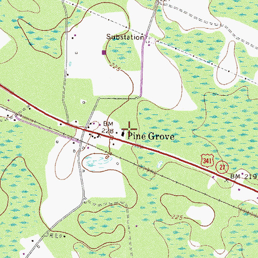 Topographic Map of Pine Grove, GA