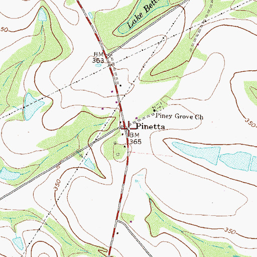 Topographic Map of Pinetta, GA