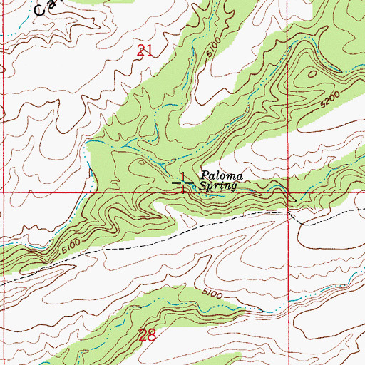 Topographic Map of Paloma Spring, AZ