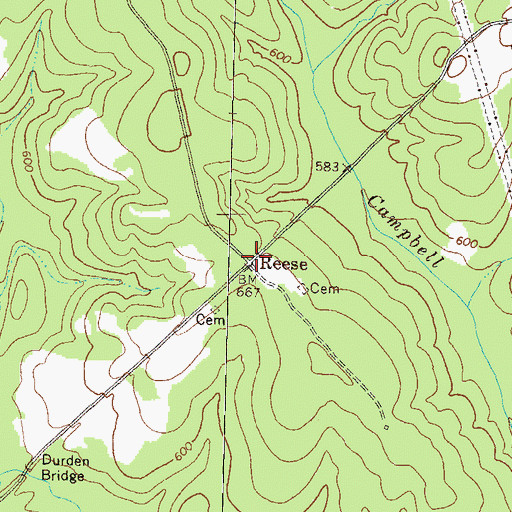 Topographic Map of Reese, GA