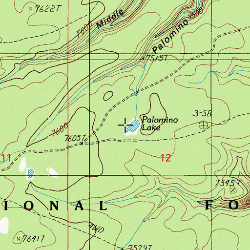 Topographic Map of Palomino Lake, AZ
