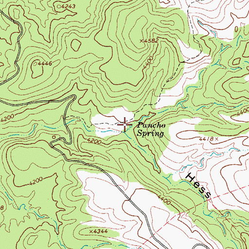 Topographic Map of Pancho Spring, AZ