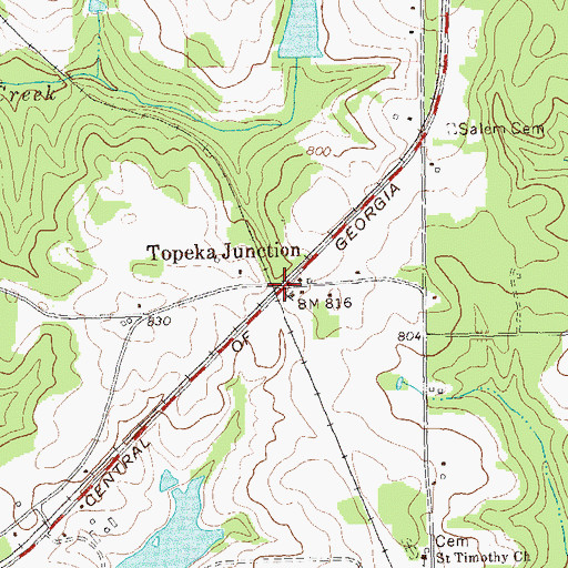 Topographic Map of Topeka Junction, GA