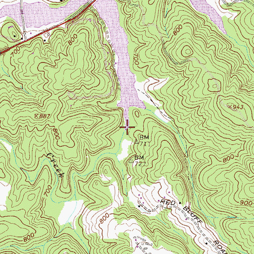 Topographic Map of Wards Creek, GA