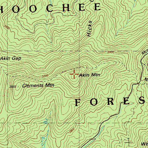 Topographic Map of Akin Mountain, GA