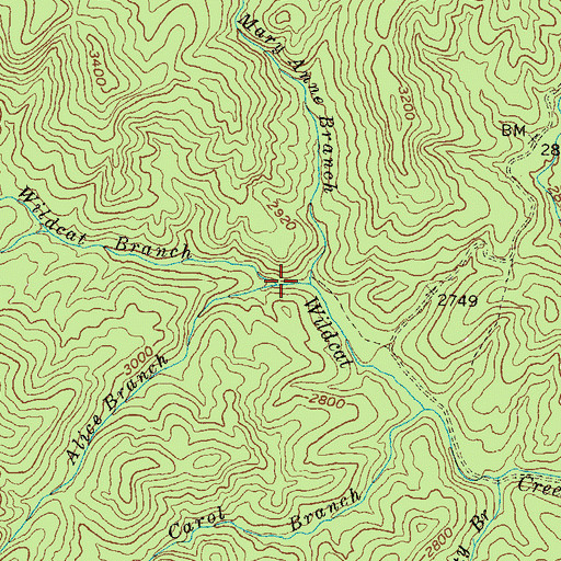 Topographic Map of Alice Branch, GA