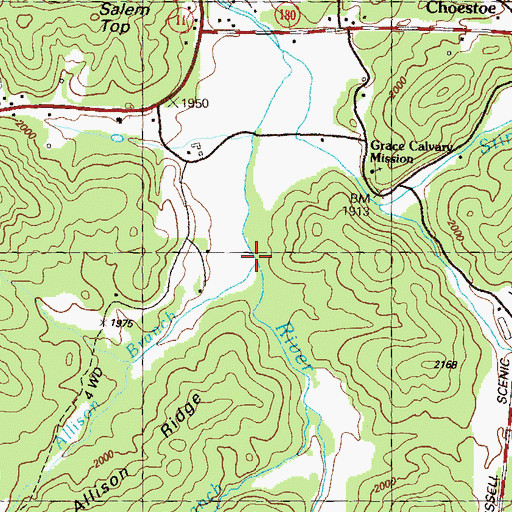 Topographic Map of Allison Branch, GA