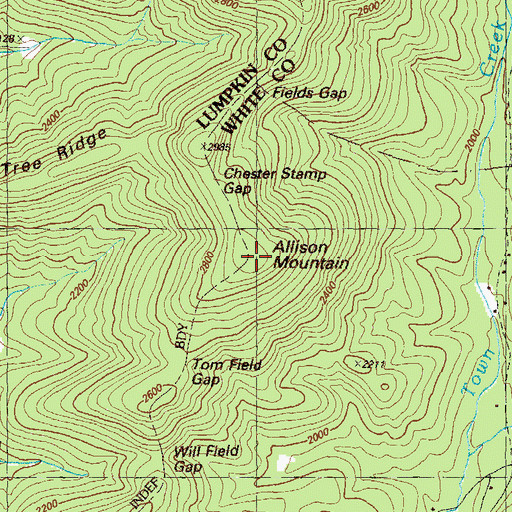 Topographic Map of Allison Mountain, GA